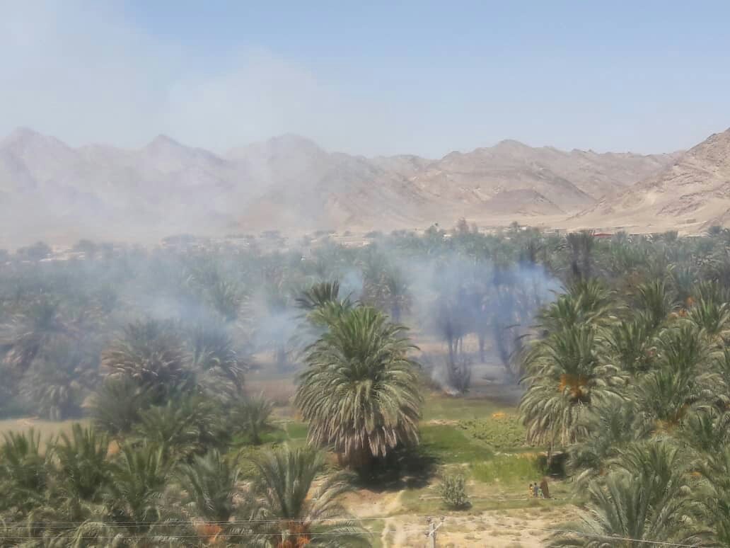 آتش در نخلستان های روستای سینوکان سراوان /۳۰۰اصله نخل در آتش سوخت