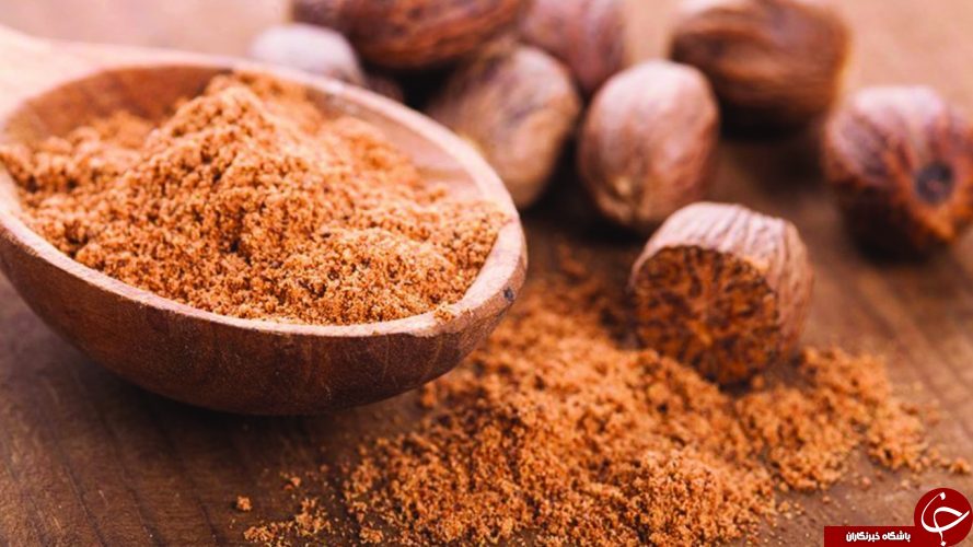 معرفی جوز هندی +خواص و مضرات این گیاه وحشی!