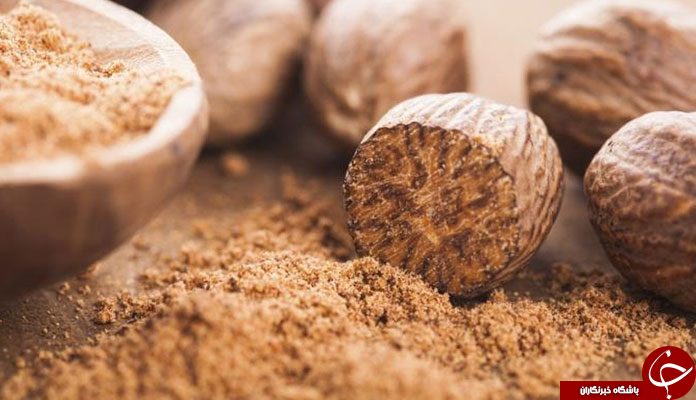 معرفی جوز هندی +خواص و مضرات این گیاه وحشی!
