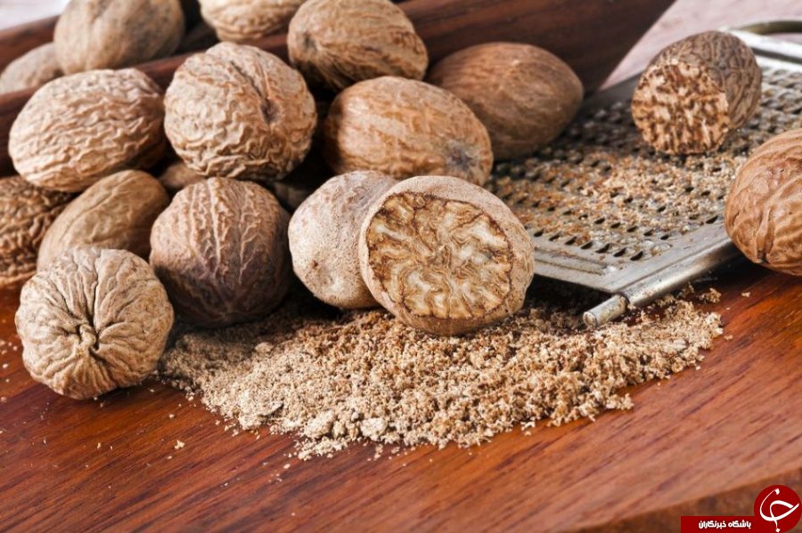 معرفی جوز هندی +خواص و مضرات این گیاه وحشی!