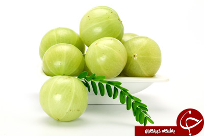 معرفی آمُله یا انگور فرنگی هندی + نگاهی کوتاه به خواص درمانی آن معرفی آمُله یا انگور فرنگی هندی + نگاهی کوتاه به خواص درمانی آن