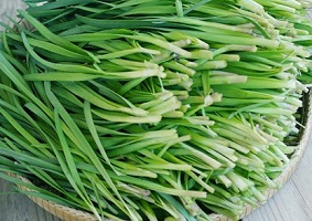 خواص تره برای سلامت انسان