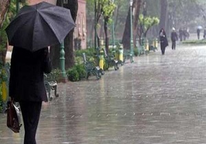 بارش باران همراه با باد و طوفان در بخش احمدی