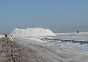 کاشت درختان مقاوم یکی از راهکارهای کاهش گردوغبار در قم است