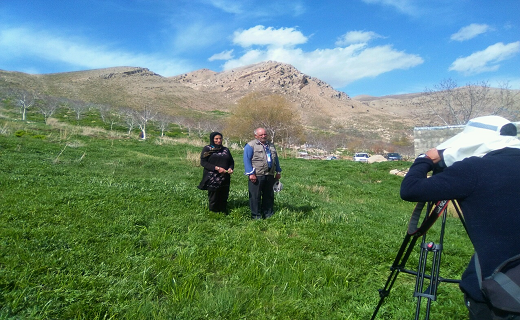 کسب درآمد میلیونی با فروش گیاهان دارویی/ چگونه با کاشت &laquo;گل محمدی&raquo; پول پارو کنیم؟+تصاویر