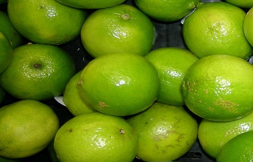 گیاهی دارویی برای رفع تشنگی/میوه&zwnj;ای ترش برای درمان سریع دیابت/از مصرف آب در این لیوان&zwnj;ها غافل نشوید/پوست ماهی مضر یا مفید؟