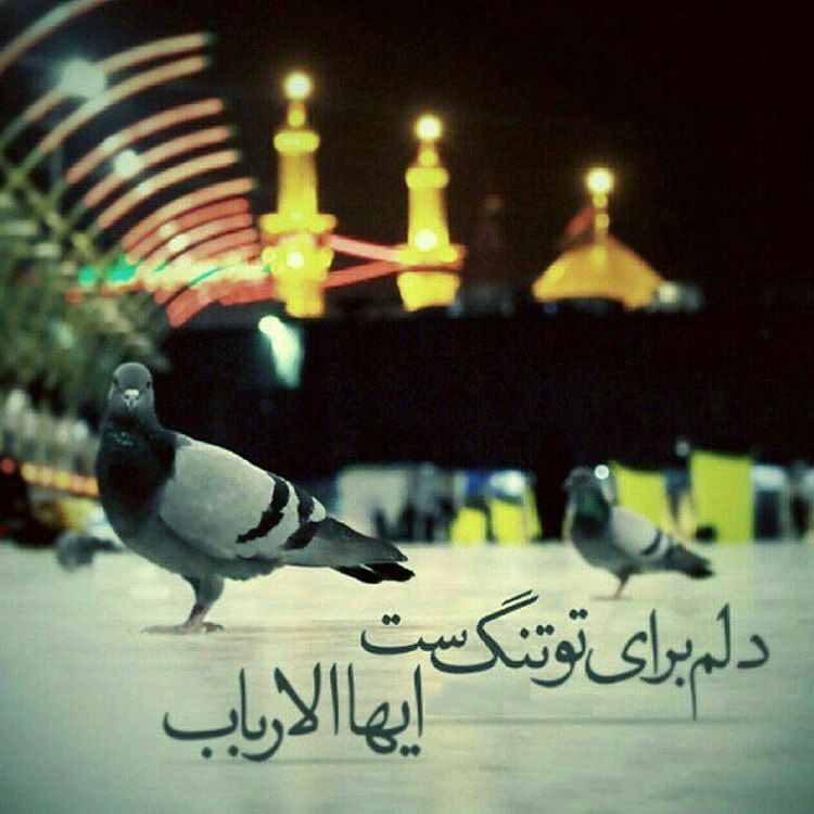 عکس نوشته های زیبا به مناسبت ماه محرم