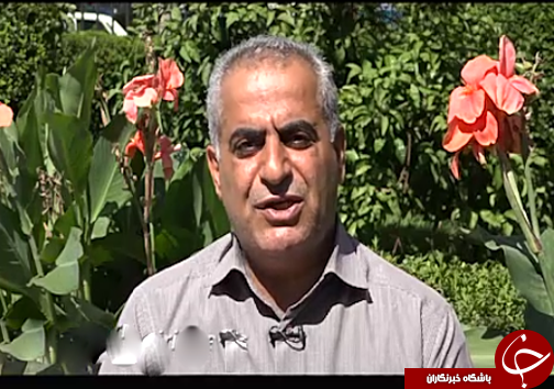 ارکیده برگ برنده صادرات گل و گیاه مازندران