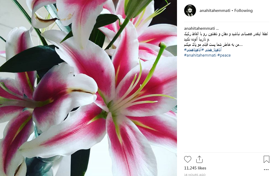 پست جنجالی آناهیتا همتی در رابطه با اعدام یک تروریست+ تصاوریر