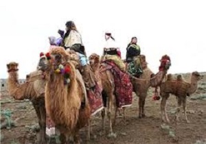 آغاز کوچ پاییزه عشایر اردبیل از اوایل مهرماه