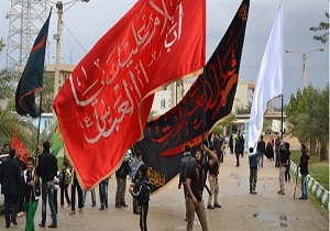 لزوم بصیرت و نظم داشتن خادمان دستگاه امام حسین (ع)      