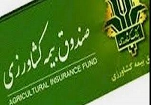 تعیین سطح یارانه های پرداختی متناسب با ظرفیت تولید انجام می شود