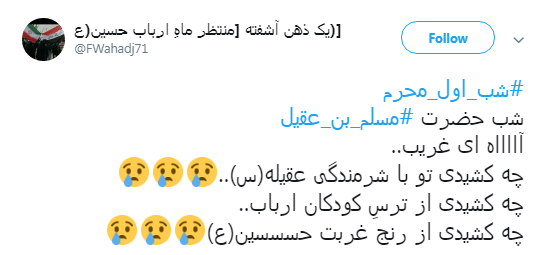 کاربران به مناسبت اولین روز از دهه محرم #مسلم_بن_عقیل را منتشر کردند+تصاویر