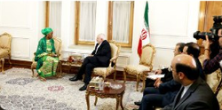 نماینده مقیم برنامه عمران ملل متحد در ایران با وزیر امور خارجه کشورمان دیدار و گفتگو کرد.