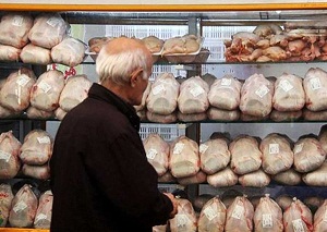 عرضه ۲۰ تن گوشت منجمد با قیمت مصوب در فروشگاه‌های استان مرکزی /پرداخت نیمی از طلب گندم کاران استان مرکزی