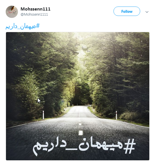 کاربران فضای مجازی با هشتگ #میهمان_داریم به پیشواز شهدا رفتند+تصاویر