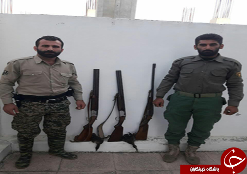 دستگیری چهارشکارچی غیرمجاز در مازندران  / مصدوم شدن محیط بان پارک ملی پابند