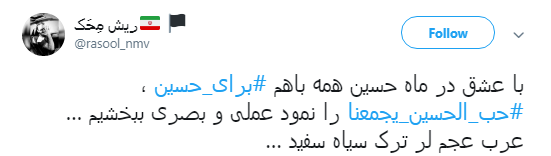 برای امام حسین(ع) چه کاری انجام می&zwnj;دهم+ تصاویر