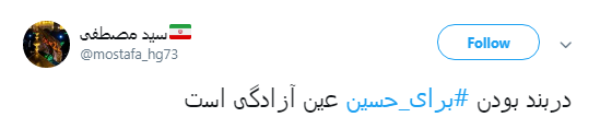 برای امام حسین(ع) چه کاری انجام می&zwnj;دهم+ تصاویر