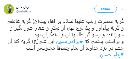 برای امام حسین(ع) چه کاری انجام می&zwnj;دهم+ تصاویر