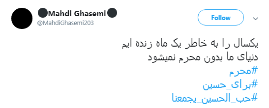 برای امام حسین(ع) چه کاری انجام می&zwnj;دهم+ تصاویر