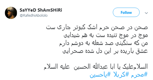 کاربران به مناسبت دومین شب محرم هشتگ #ورود_به_کربلا را منتشر کردند+تصاویر