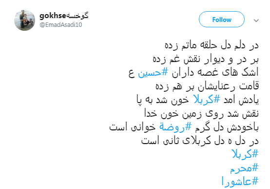 کاربران به مناسبت دومین شب محرم هشتگ #ورود_به_کربلا را منتشر کردند+تصاویر