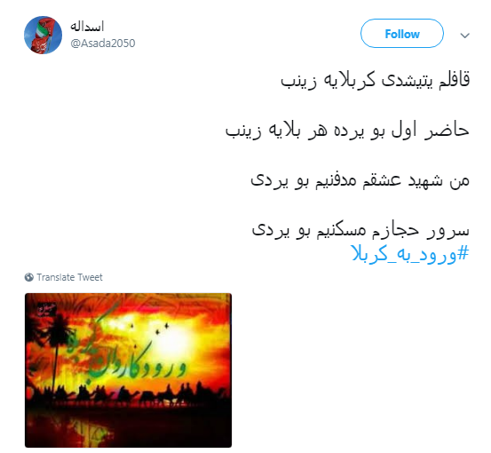 کاربران به مناسبت دومین شب محرم هشتگ #ورود_به_کربلا را منتشر کردند+تصاویر