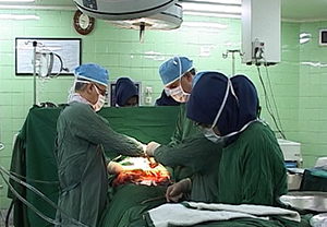 بخش پیوند اعضای علوم پزشکی شیراز، پیشگام در دنیا/رکوردشکنی شیراز در پیوند کبد