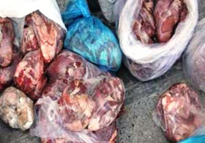 حدود ۱۵ تن گوشت غیر بهداشتی در کرمانشاه کشف شد