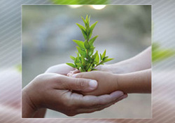 ممنوعیت صادرات کالاهای اساسی برای تامین نیازهای داخلی + صوت