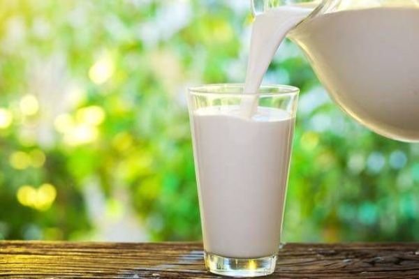 نوشیدن روزانه شیر موجب افزایش قد می&zwnj;شود