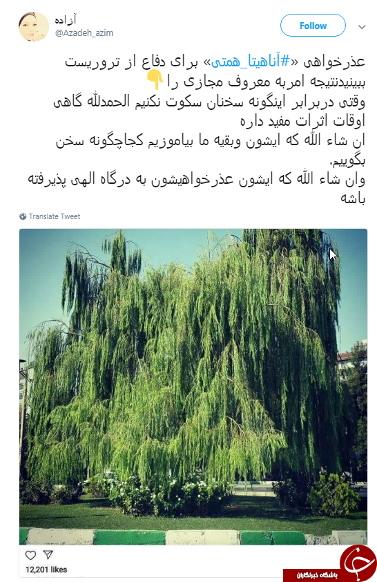 عذرخواهی آناهیتا همتی به خاطر حمایتش از یک تروریست +عکس