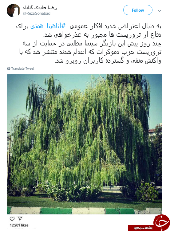 عذرخواهی آناهیتا همتی به خاطر حمایتش از یک تروریست +عکس