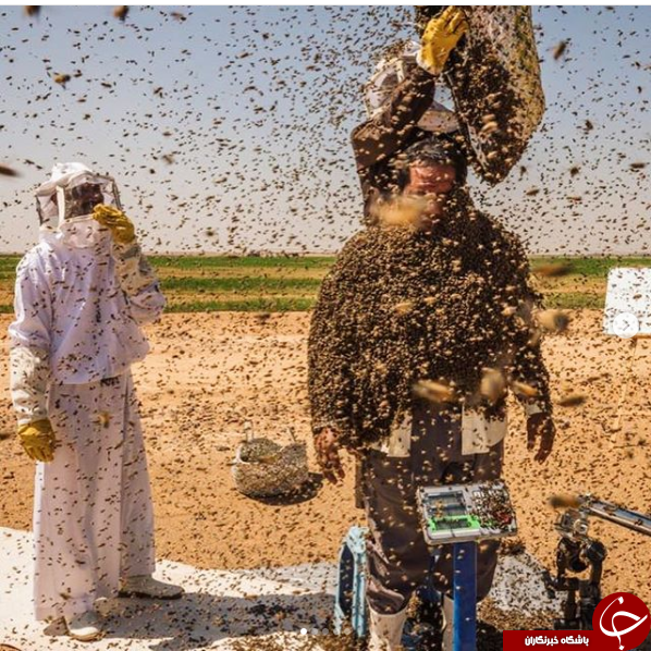 شکست مرد عربستان در ثبت رکورد با پوشیدن لباسی زنده و زهرآگین