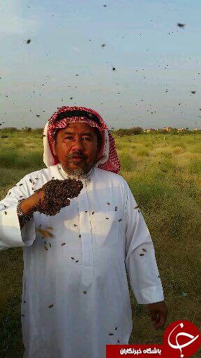 مرد عربستانی برای شهرت لباسی زنده و زهرآگین به تن کرد!+تصاویر