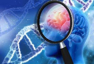 چگونه زودهنگام زوال عقل را پیش&zwnj;بینی و از آن جاوگیری کنیم؟