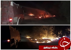 بی احتیاطی پارک جنگلی لادن دزفول را به آتش کشید/ دست آتش کوتاه شد