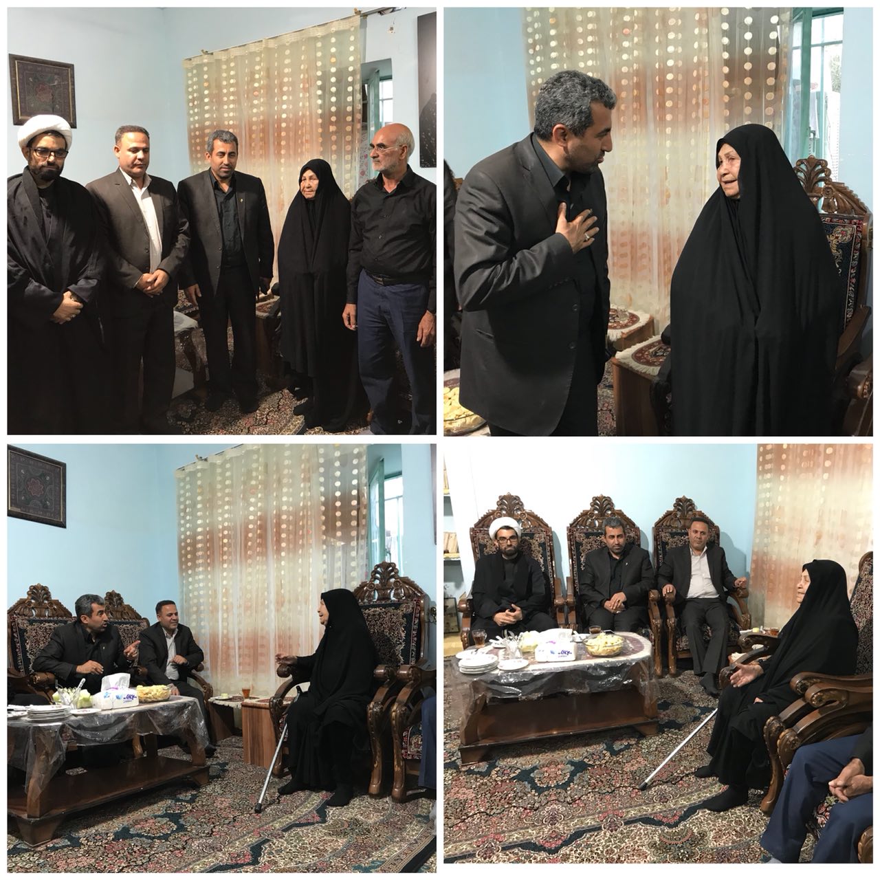 دیدار رئیس کمیسیون اقتصادی مجلس با مادر شهیدان کمالی