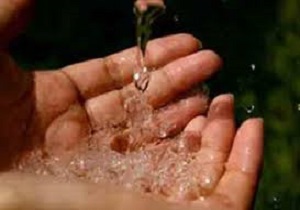 خسارت به بخش کشاورزی و دام خرمشهر در پی شوری آب