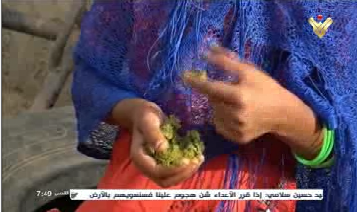 کودکان یمنی برای فرار از گرسنگی و قحطی به خوردن برگ درختان روی آورده&zwnj;اند+ تصاویر