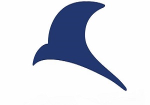 هیوندای آزرا، یک میلیاردی شد