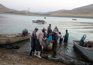 آغاز صید ماهی از دریاچه سد مهاباد