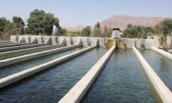 تعطیلی 45 مزرعه تولید ماهی در کهگیلویه و بویراحمد