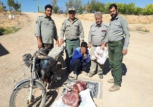 دستگیری شکارچی متخلف در شهرستان شاهرود