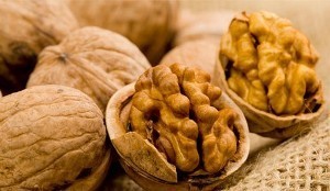 وجود بیش از ۲ هزار و ۵۰۰ هکتار باغات زیرکشت گردو