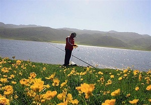 پروانه صید اردک ماهی در دریاچه نئور صادر می شود