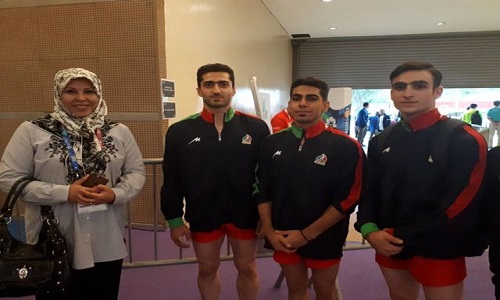 درگاهی: درباره اتفاقاتی که برای ژیمناتستیک در جاکارتا رخ داد، هشدار داده بودم