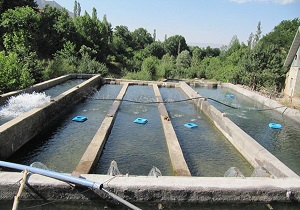 تخریب پایان کار ۵ خوضه پرورش ماهی