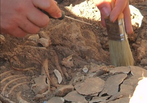 اردبیل آماده مشارکت در برگزاری همایش های منطقه ای باستان شناسی است